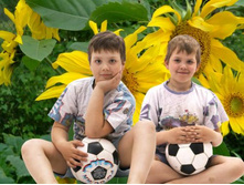 ��� �����������