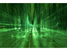 ������ �������