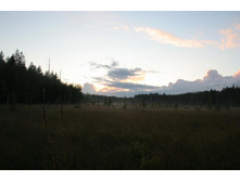 12.09.2010 16:20:53