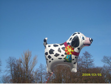 ����� ������ ����� - �������� 