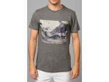 Bs731052-r71-1 ������������ ������ 490.jpg