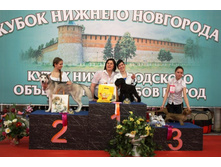 ���������� �� �������.jpg