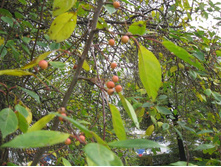 ��������� ������