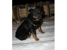 ����� ���������� ���