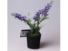 ������������� �������.jpg