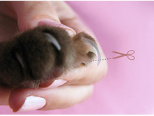 2. ��������� �� ������������� �������� ��� �����