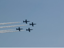 �������������� 2010