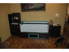 ����� �������