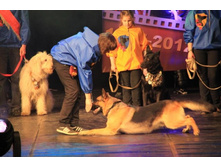 IMG_0160 - �����.jpg