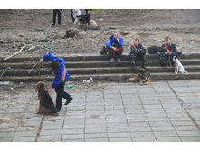 IMG_9972 - �����.JPG