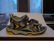 ��������� ������ 29�  ���� 350 ���.