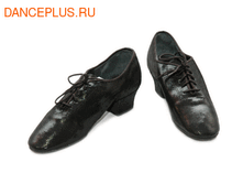 ����� La DanceMaster 433 �����