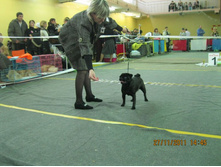 ����������� 050.jpg