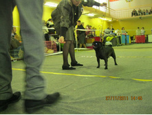 ����������� 051.jpg