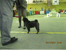 ����������� 052.jpg