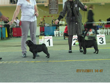 ����������� 053.jpg