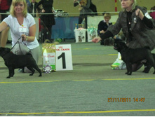 ����������� 054.jpg