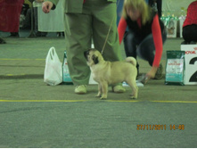 ����������� 057.jpg