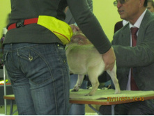 ����������� 058.jpg