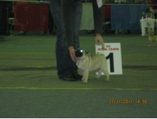 ����������� 059.jpg