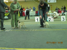 ����������� 060.jpg