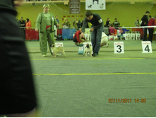 ����������� 062.jpg