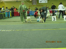 ����������� 063.jpg