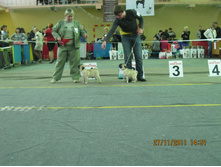 ����������� 064.jpg