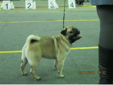 ����������� 065.jpg