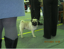 ����������� 066.jpg