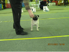 ����������� 067.jpg