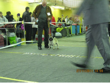 ����������� 069.jpg