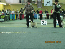 ����������� 070.jpg