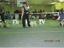 ����������� 071.jpg