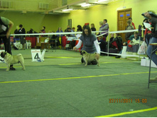 ����������� 072.jpg