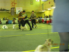 ����������� 073.jpg