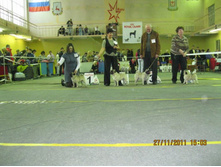 ����������� 074.jpg