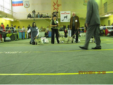 ����������� 075.jpg