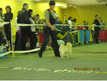 ����������� 077.jpg