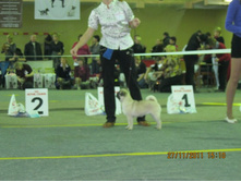 ����������� 078.jpg