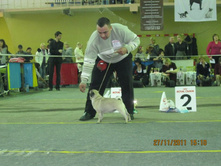 ����������� 079.jpg