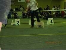 ����������� 084.jpg