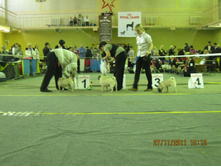 ����������� 086.jpg