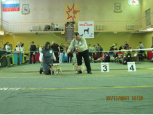 ����������� 087.jpg