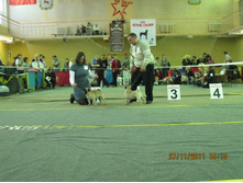 ����������� 088.jpg