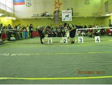 ����������� 091.jpg