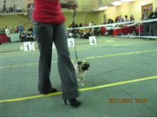 ����������� 092.jpg