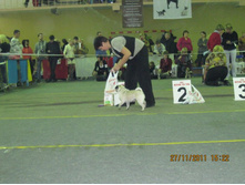 ����������� 093.jpg