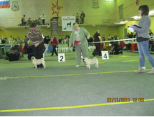 ����������� 094.jpg