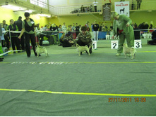 ����������� 095.jpg